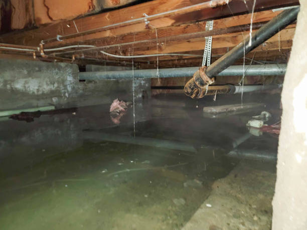 Best 24/7 water damage repair  in Bandon, OR