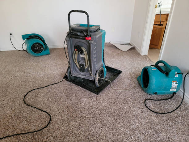Carpet water damage restoration in Bandon, OR