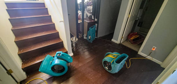 Best 24-hour water damage restoration  in Bandon, OR