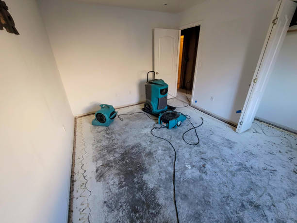 Best Flood restoration services  in Bandon, OR