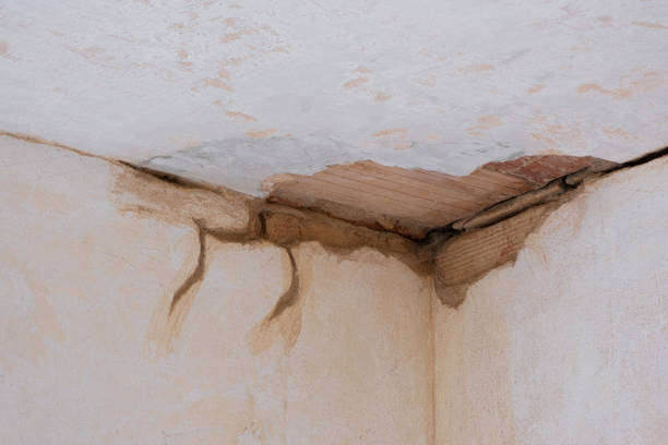Best Water damage contractors near me  in Bandon, OR