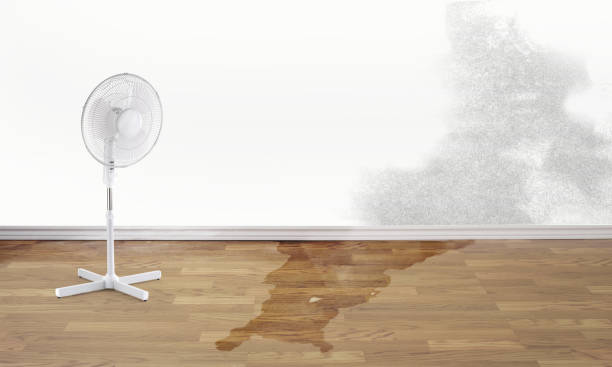 Best Flooded house restoration  in Bandon, OR