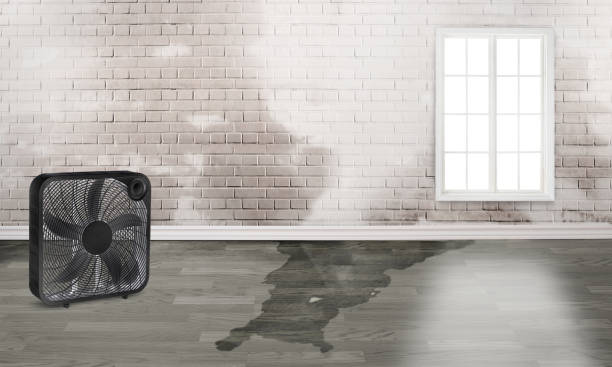 Trusted Bandon, OR Water damage restoration Experts