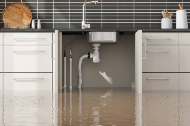Best Fire Damage Restoration  in Bandon, OR