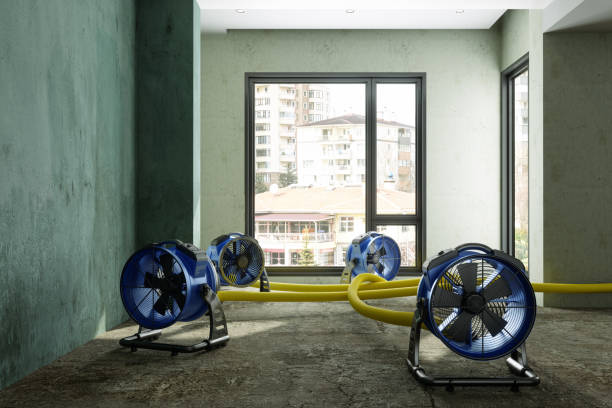 Best Fire Damage Restoration  in Bandon, OR