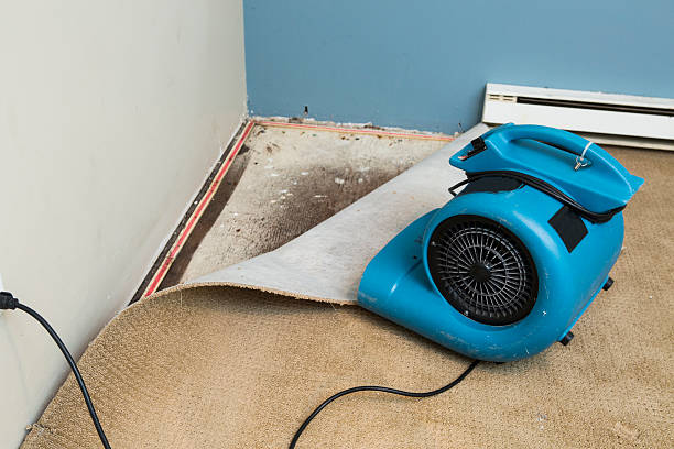 Best Basement water damage restoration  in Bandon, OR